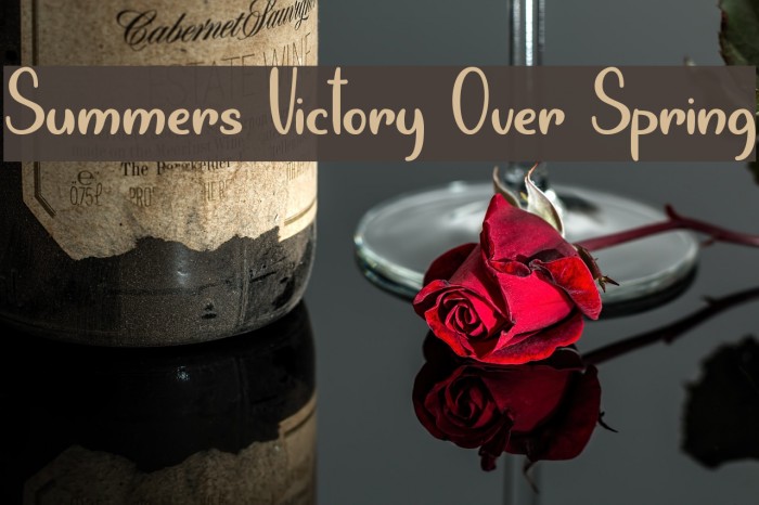 Summers Victory Over Spring Font examples