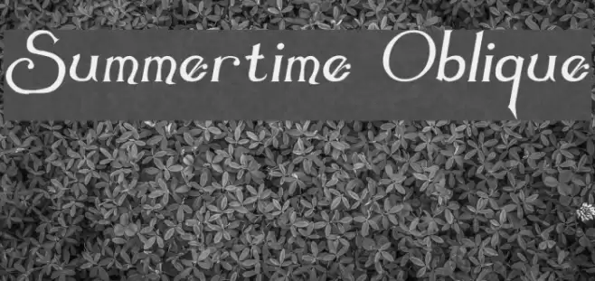 Summertime Oblique Font examples