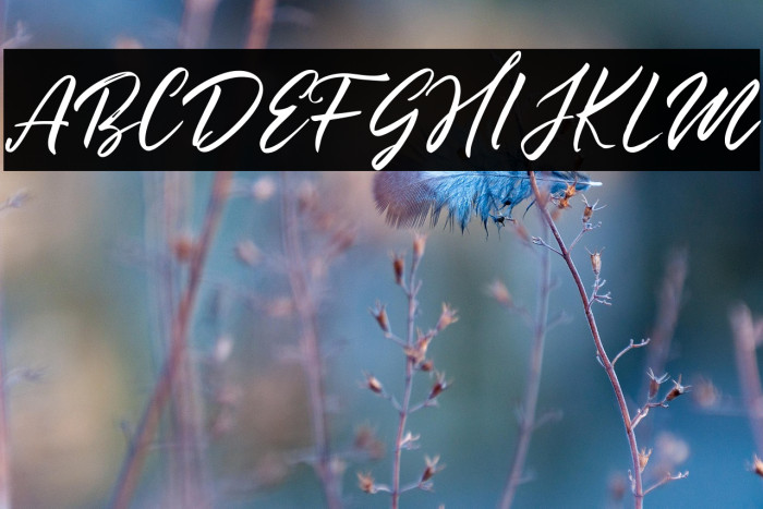 Summertime Example 2