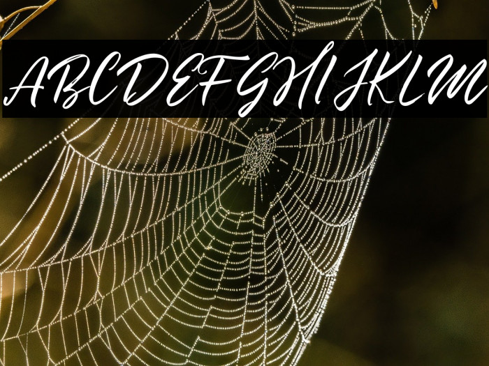 Summertime Example 3