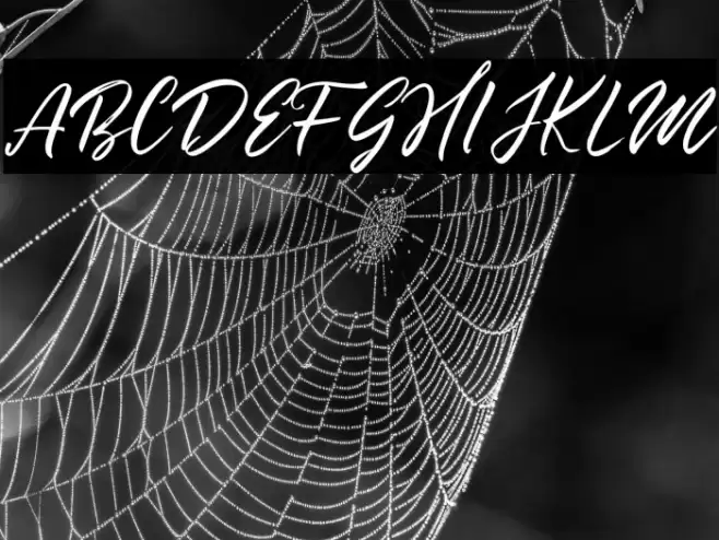 Summertime Font examples