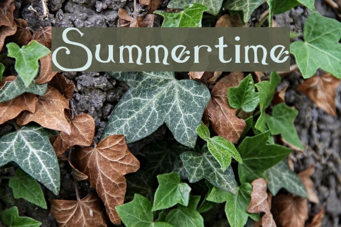 Summertime Font examples