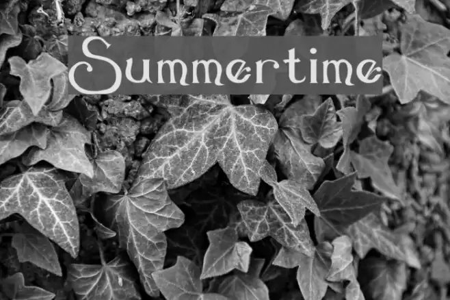 Summertime Caratteri examples