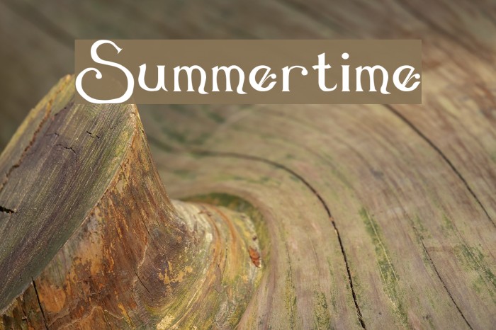 Summertime Font examples