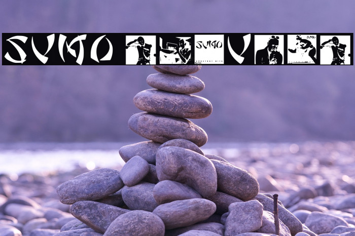 Sumo Regular Example 2