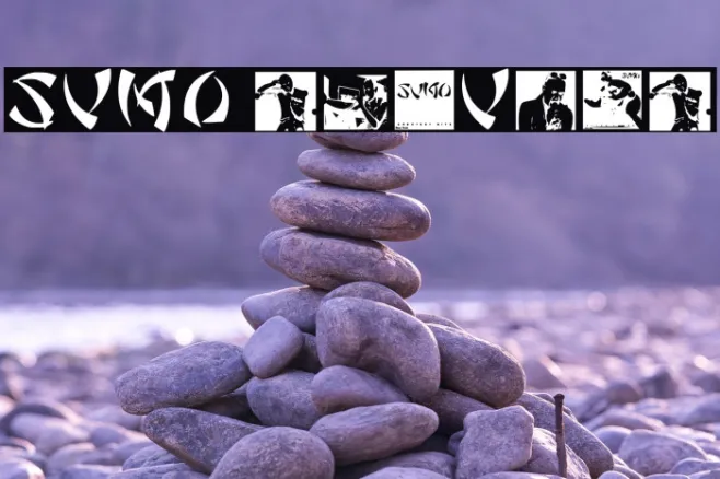 Sumo Regular Example 2