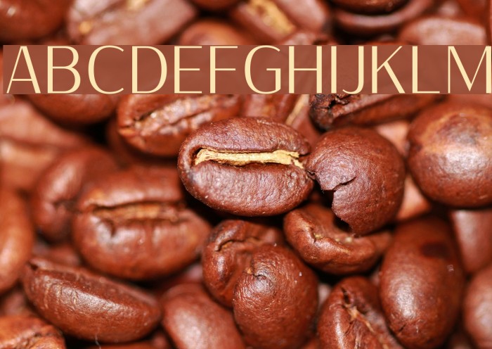 Sumptuous-Light Font examples