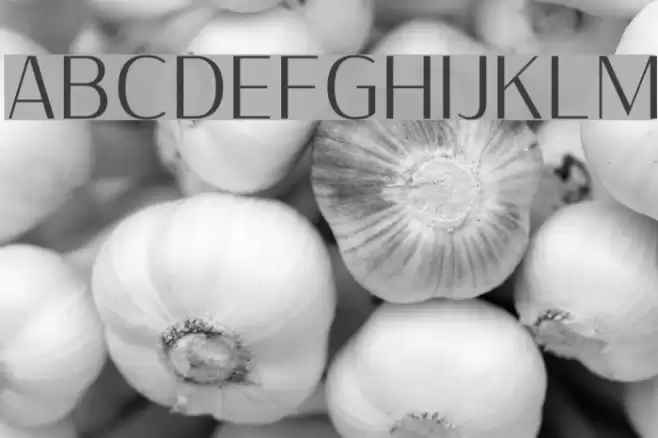 Sumptuous-Light Font examples