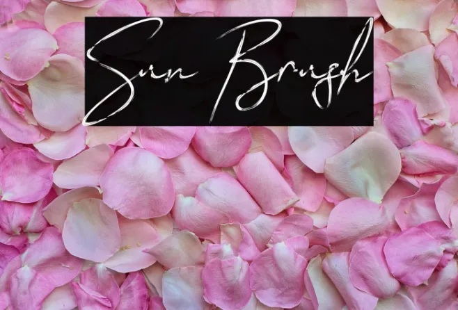 Sun Brush Example 1