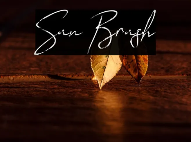Sun Brush Example 2