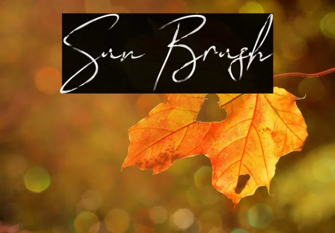 Sun Brush Example 3