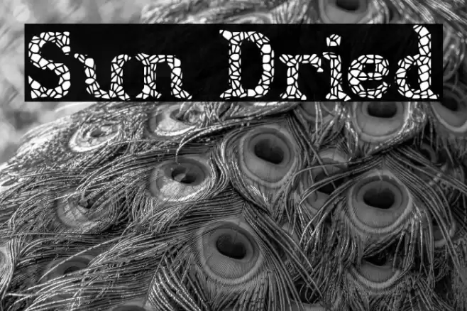 Sun Dried Font examples