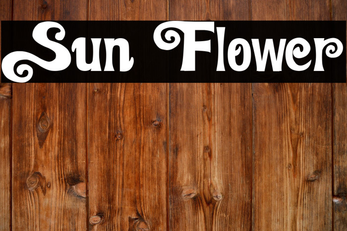 Sun Flower Example 2