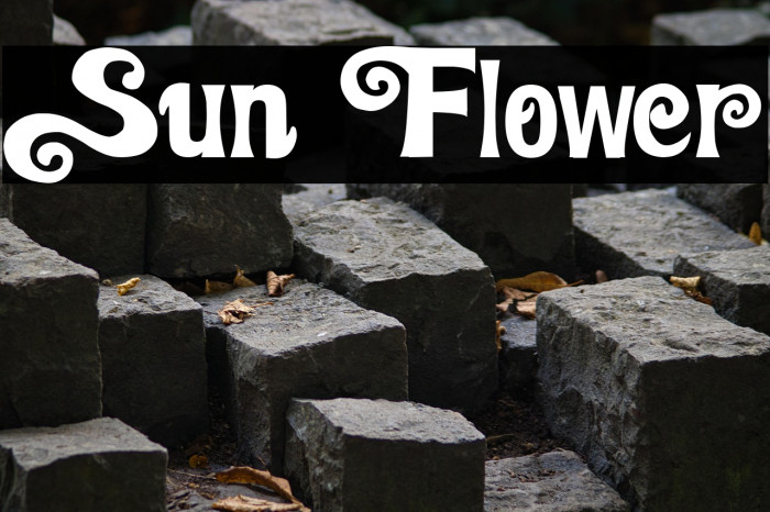 Sun Flower Example 3