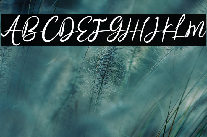 Sun Pride - Personal Use Example 1