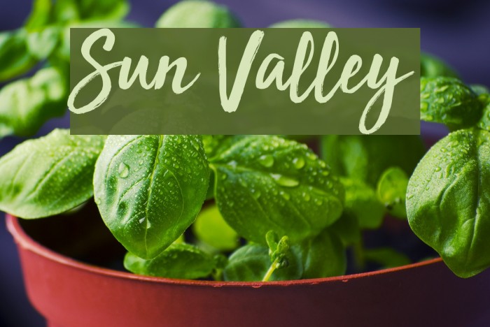 Sun Valley Font examples