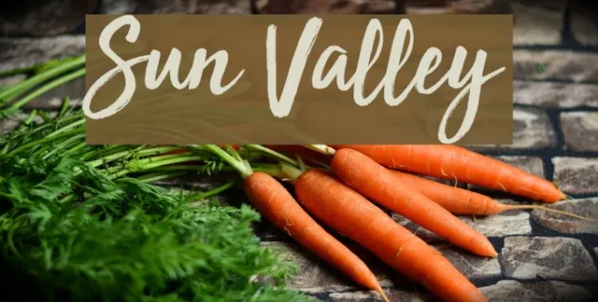 Sun Valley Example 2