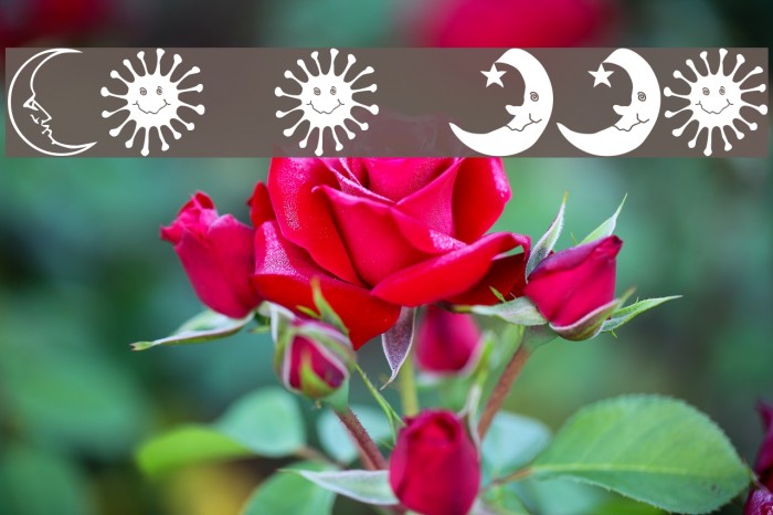 Sun n Moon Font examples