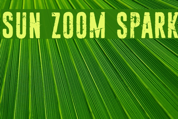 Sun zoom spark フォント examples