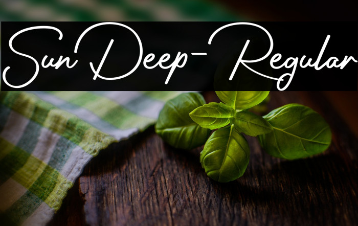 SunDeep-Regular Example 3