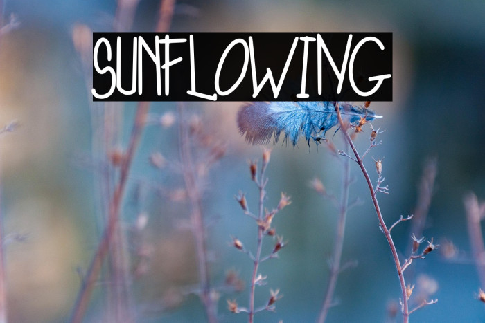 SunFloWiNG Example 1