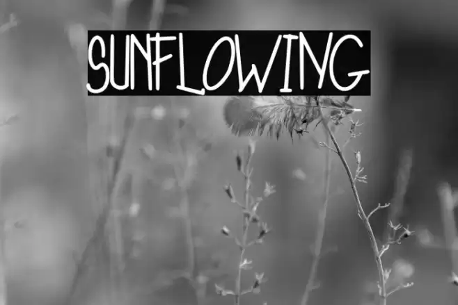 SunFloWiNG Font examples