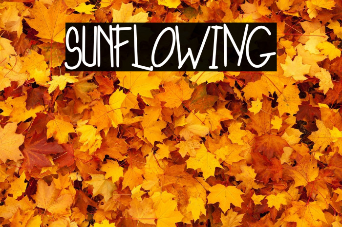 SunFloWiNG Example 3