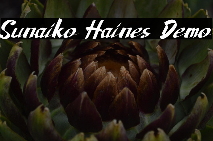 Sunaiko Haines Demo Example 3