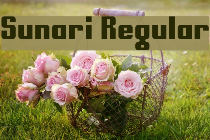 Sunari Regular Font examples