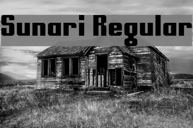 Sunari Regular Font examples