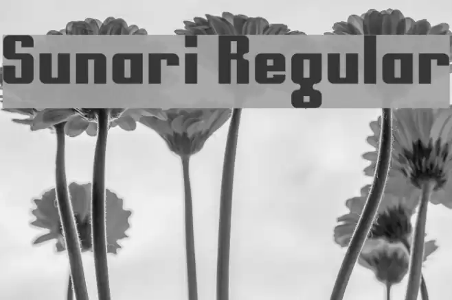 Sunari Regular Font examples