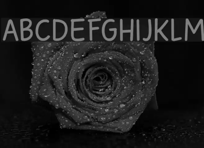 Sunbird DEMO Regular Font examples