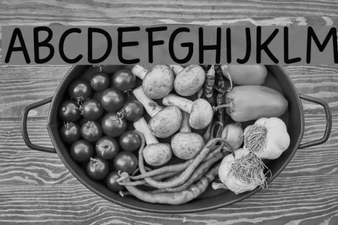 Sunbird DEMO Regular Font examples