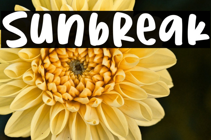 Sunbreak Example 1
