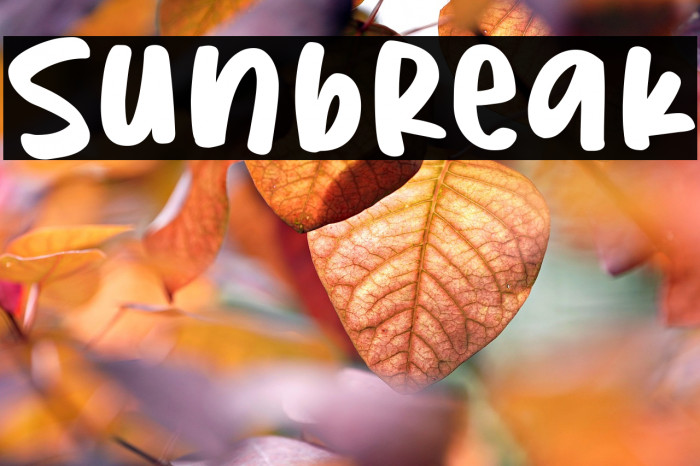 Sunbreak Example 3