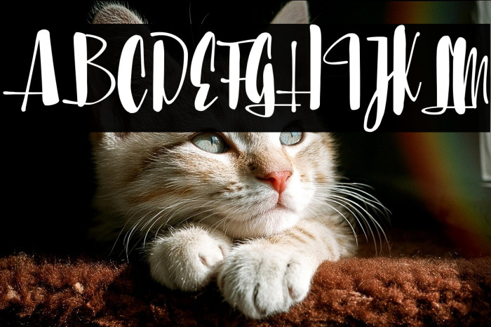 Sunbreath Regular Example 2