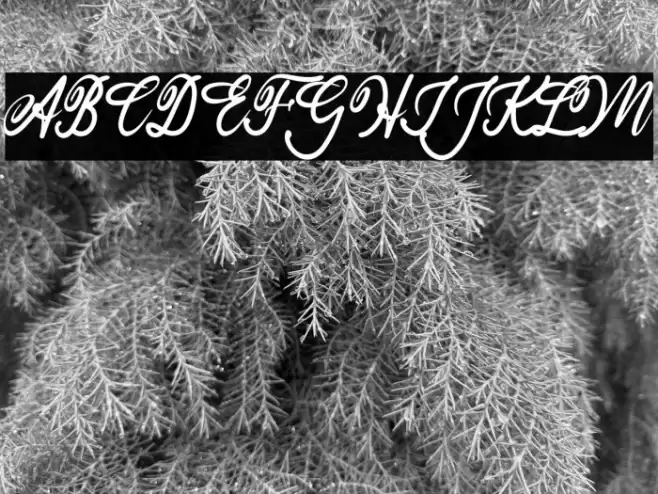 Sunbunny Font examples