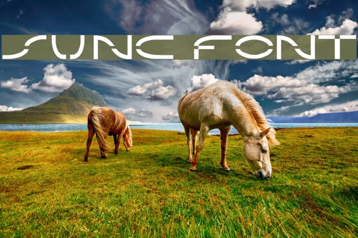 Sunc Font examples