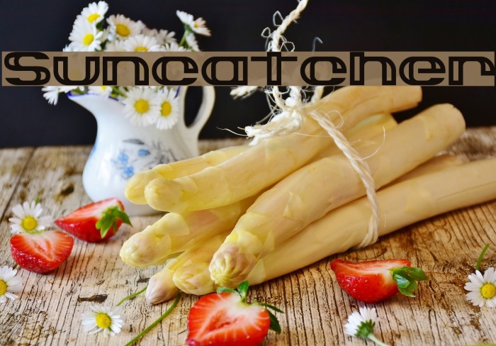 Suncatcher Example 3