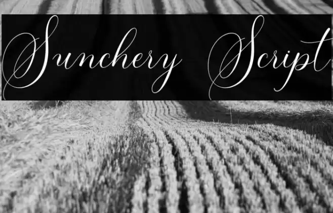 Sunchery Script Font examples