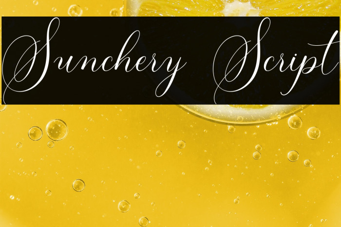 Sunchery Script Example 3