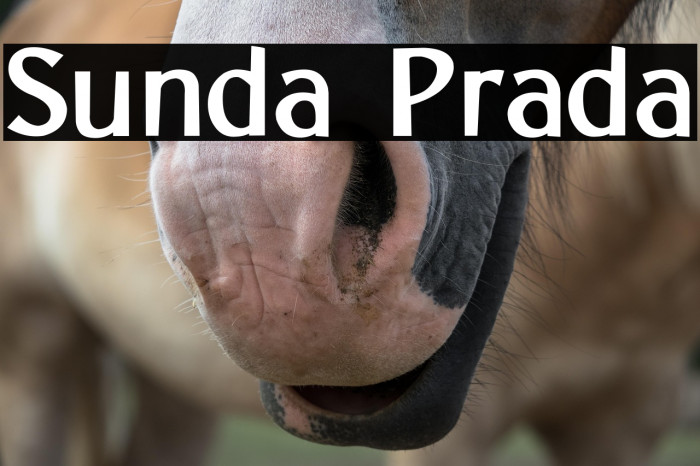 Sunda Prada Example 1