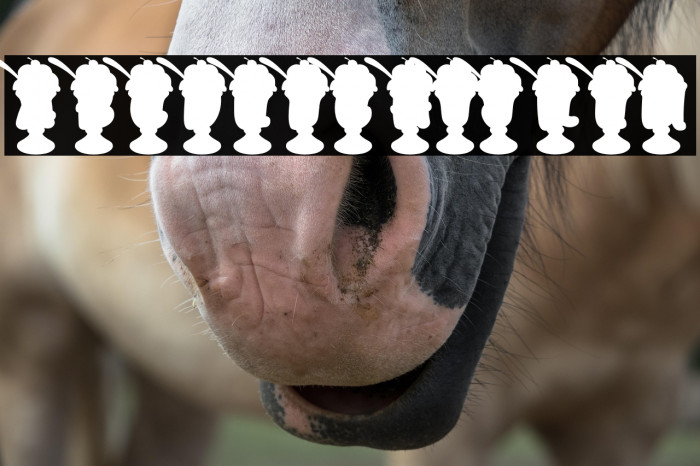 SundaeHitPersonalUse-Bold Example 1