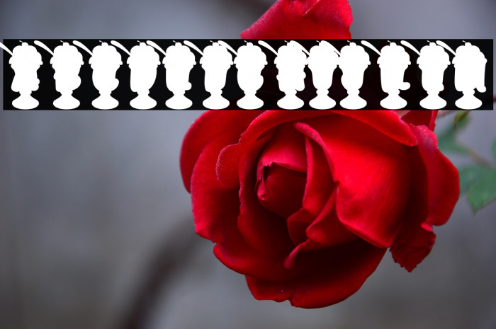 SundaeHitPersonalUse-Bold Example 2