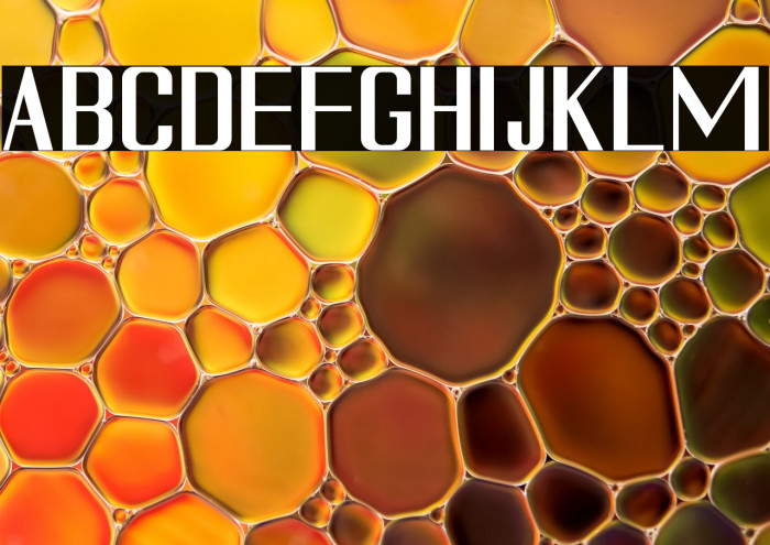 Sundarbans Example 3