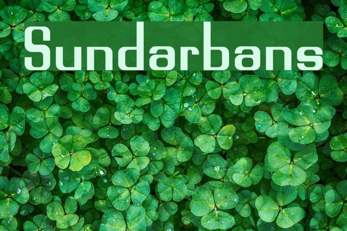 Sundarbans Example 1