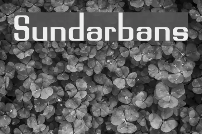 Sundarbans Font examples