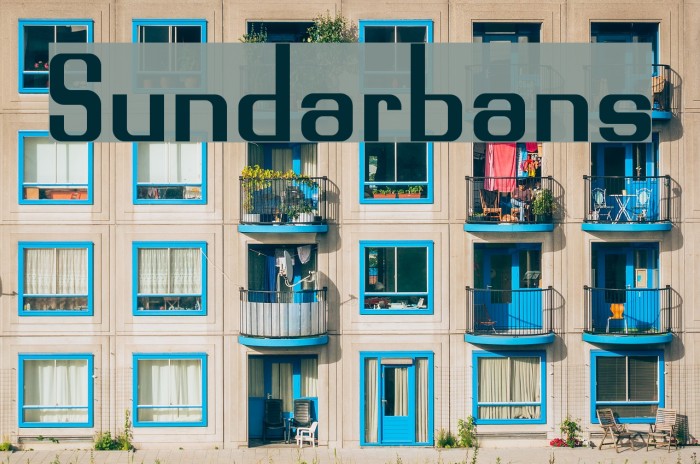 Sundarbans Example 2