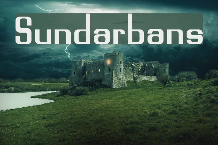 Sundarbans Example 3