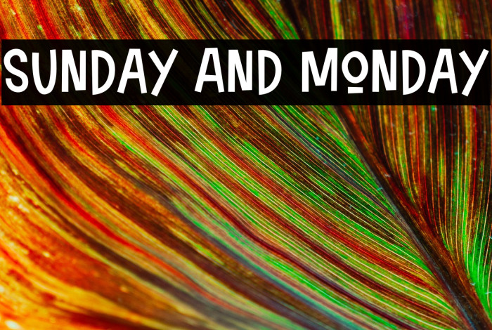 Sunday And Monday Font examples